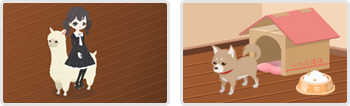 ペット